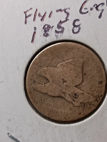 1858 Flying Eagle Cents thumbnail