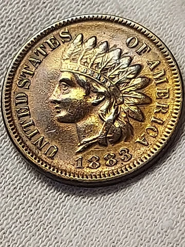 1883 Indian Head Pennies thumbnail