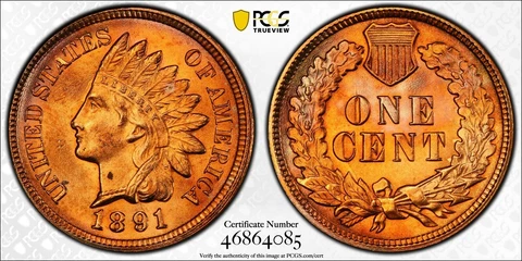 1891 Indian Head Pennies thumbnail