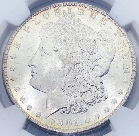 1901 P Morgan Silver Dollars thumbnail