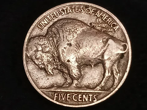 1921 P Buffalo Nickels thumbnail