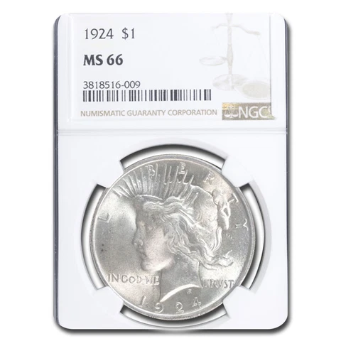 1924 US Coin Errors thumbnail