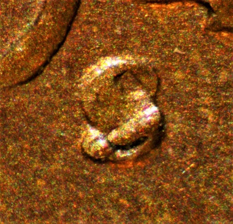 1948 US Coin Errors thumbnail