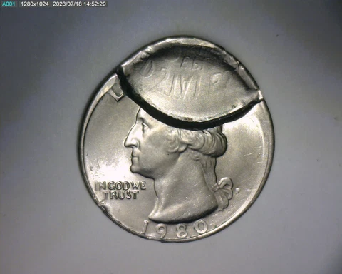 1980 US Coin Errors thumbnail