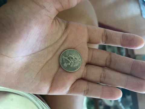 1995 P Washington Quarters thumbnail