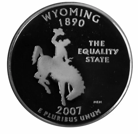 2007 US State Quarters thumbnail