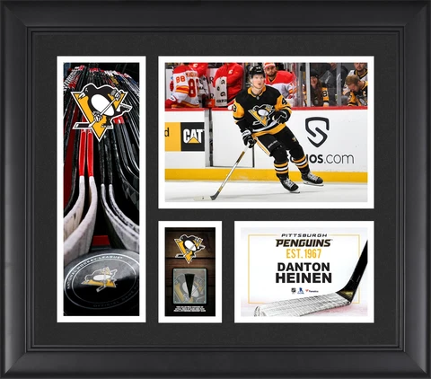 Anaheim Ducks Pucks thumbnail