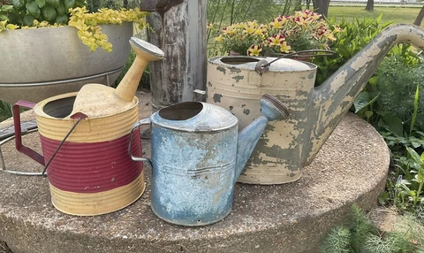 Antique Metal Watering Cans thumbnail