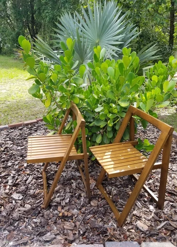 Antique Mid-Century Modern Folding Chairs thumbnail