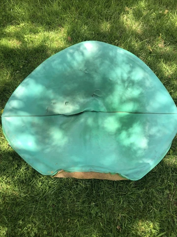 Antique Yellow Lounge Chairs thumbnail