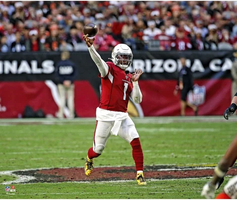 Arizona Cardinals Posters thumbnail