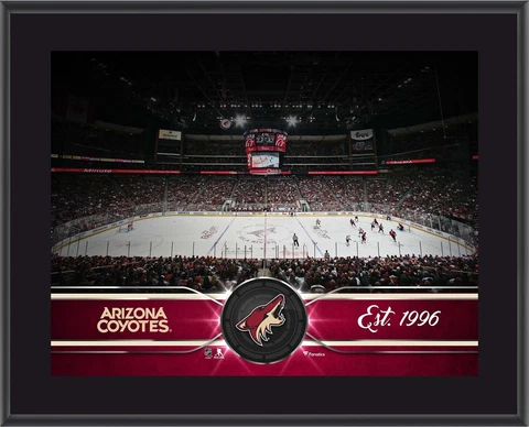 Arizona Coyotes Plaques thumbnail