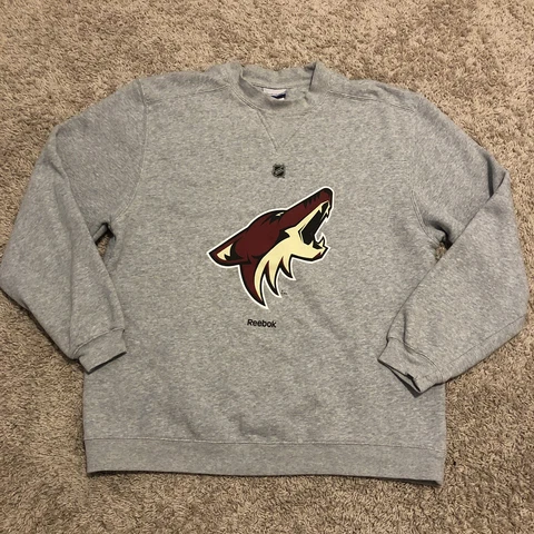 Arizona Coyotes Shirts thumbnail