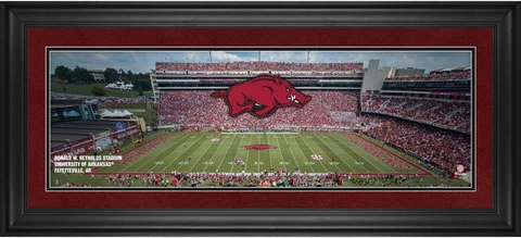 Arkansas Razorbacks Plaques thumbnail