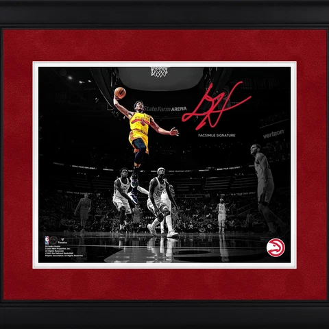 Atlanta Hawks Plaques