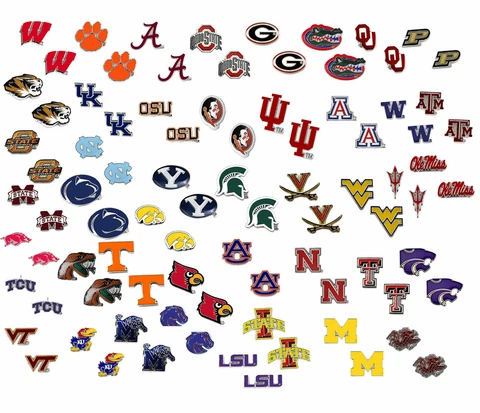 Boise State Broncos Earrings thumbnail