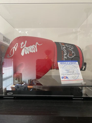 Boxing Fan Gloves thumbnail