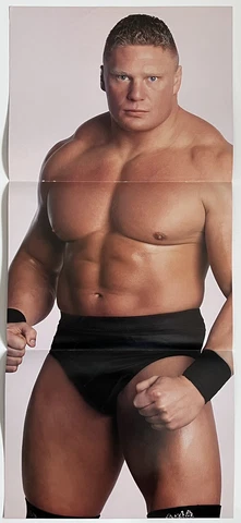 Brock Lesnar Posters thumbnail