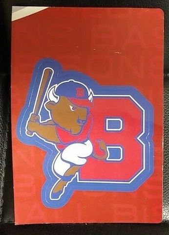 Buffalo Bisons Magnets thumbnail
