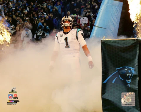 Cam Newton Posters