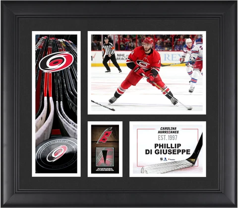 Carolina Hurricanes Plaques thumbnail