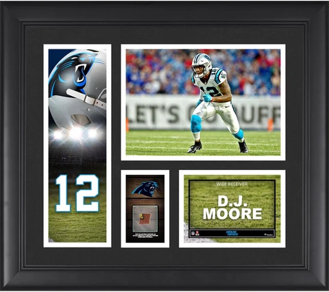 Carolina Panthers Plaques thumbnail