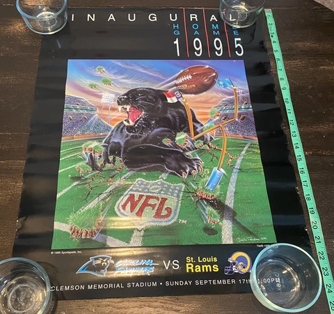 Carolina Panthers Posters