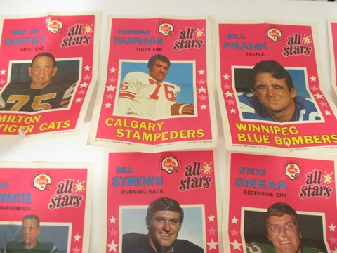 CFL Fan Posters thumbnail