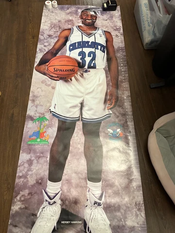 Charlotte Hornets Posters thumbnail