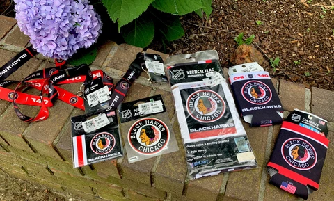 Chicago Blackhawks Magnets thumbnail