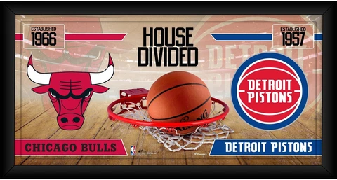 Chicago Bulls Plaques thumbnail