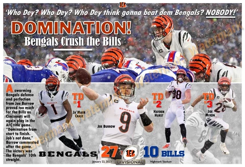 Cincinnati Bengals Posters