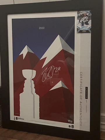 Colorado Avalanche Posters thumbnail
