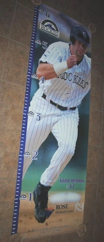 Colorado Rockies Posters thumbnail