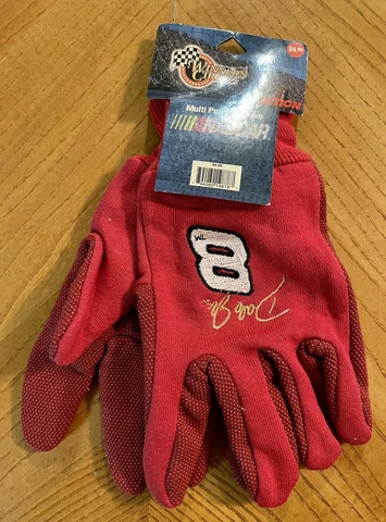 Dale Earnhardt Jr Gloves thumbnail