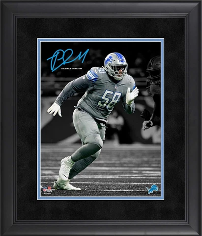 Detroit Lions Plaques thumbnail