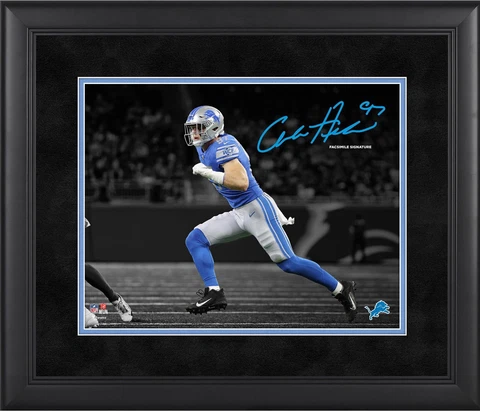 Detroit Lions Plaques