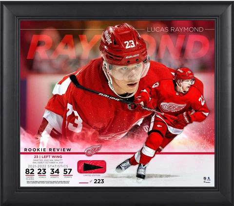 Detroit Red Wings Pucks thumbnail