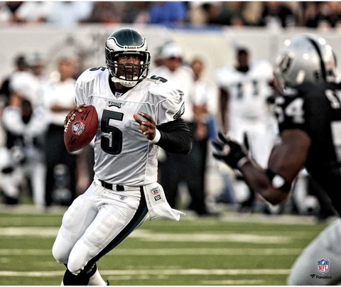 Donovan McNabb Posters