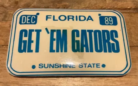 Florida Gators Magnets thumbnail