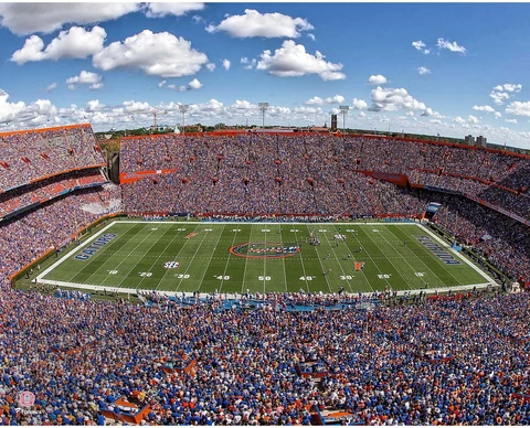 Florida Gators Posters thumbnail