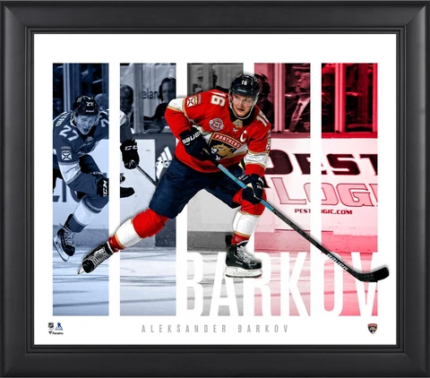Florida Panthers Plaques