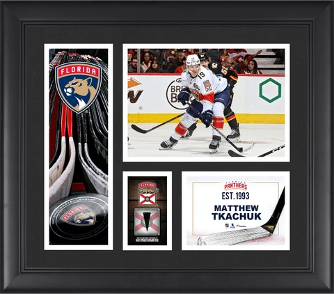 Florida Panthers Pucks thumbnail