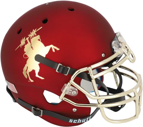 Florida State Seminoles Helmets