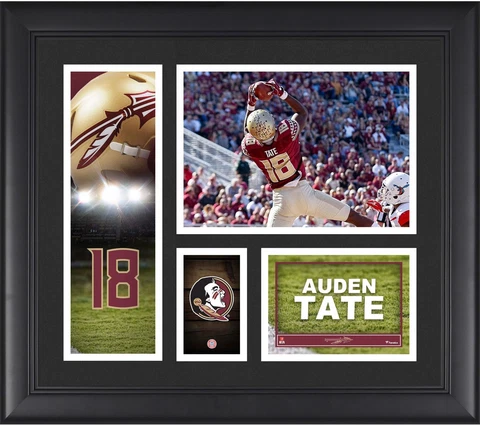 Florida State Seminoles Plaques