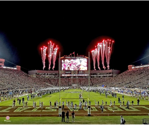 Florida State Seminoles Posters