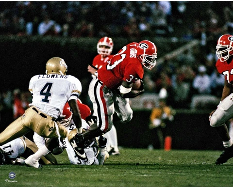Georgia Bulldogs Posters thumbnail