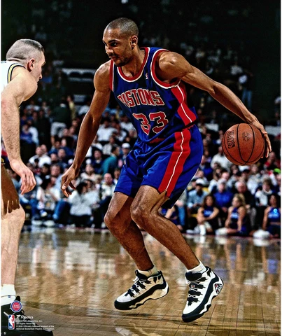 Grant Hill Posters