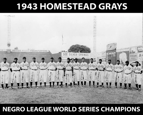 Homestead Grays Photos