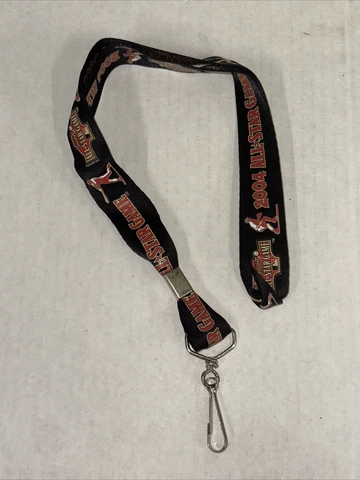 Houston Astros Keychains thumbnail